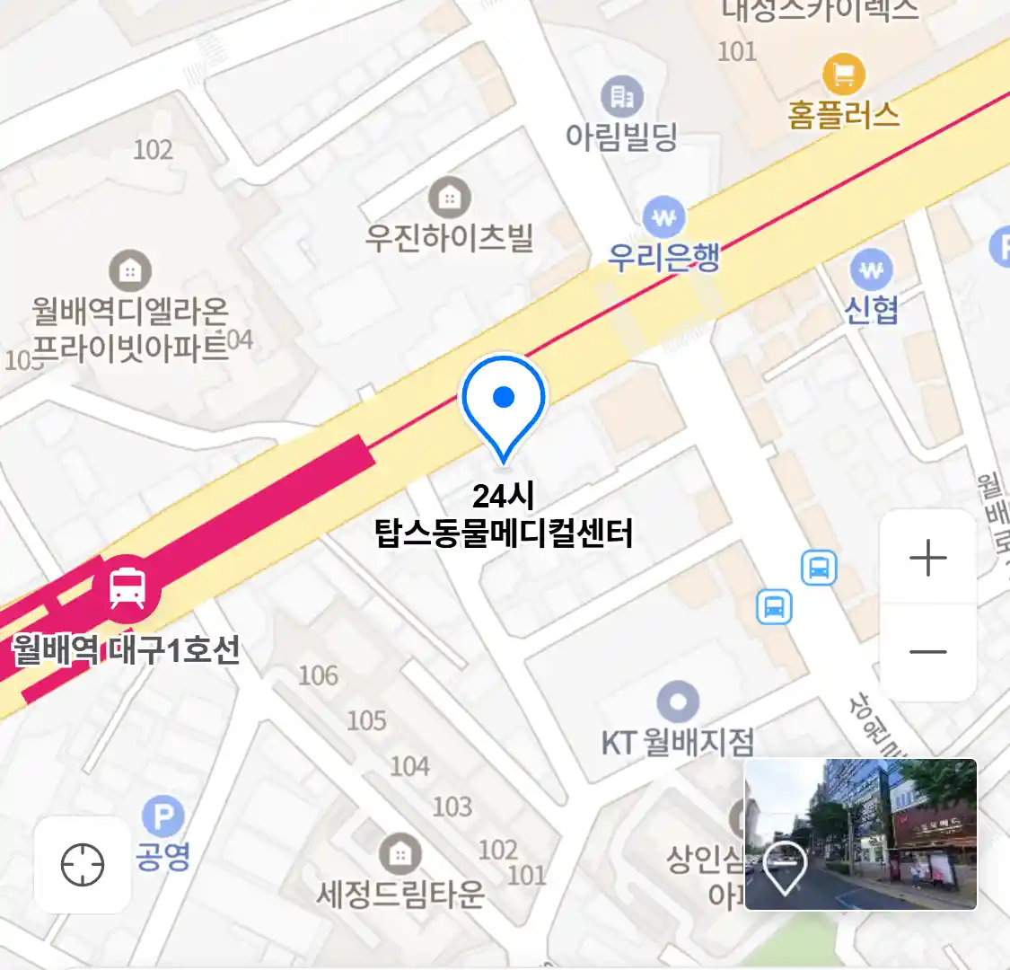 24시 탑스동물메디컬센터