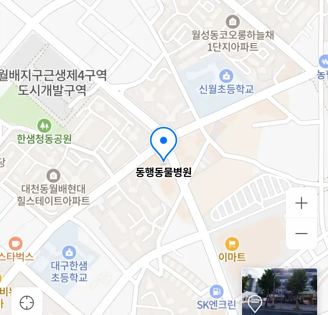 동행동물병원