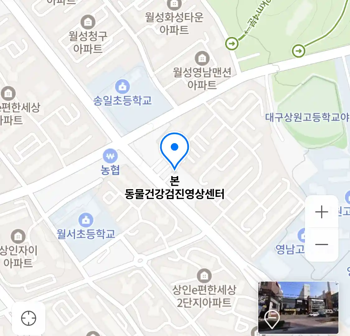 본 동물건강검진영상센터