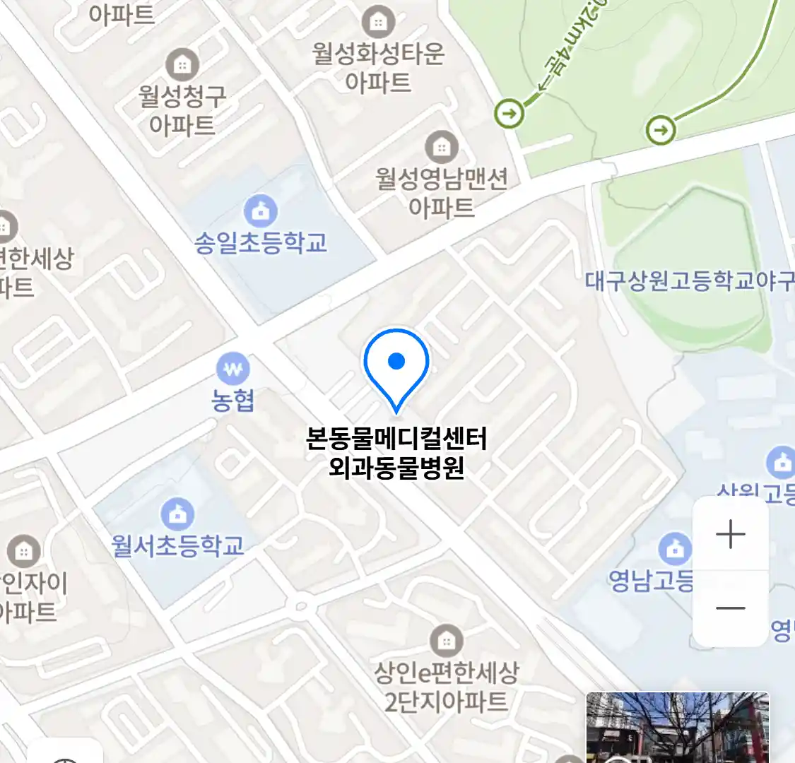 본동물메디컬센터 외과동물병원
