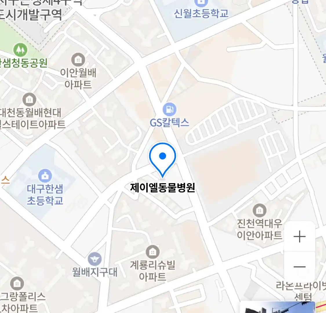 제이엘동물병원