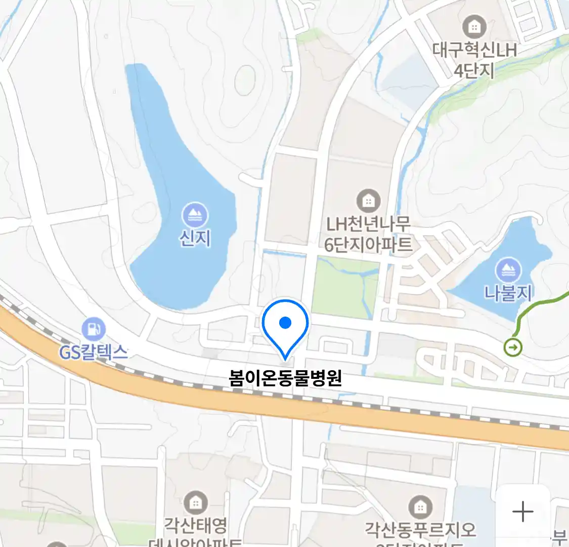 봄이온동물병원