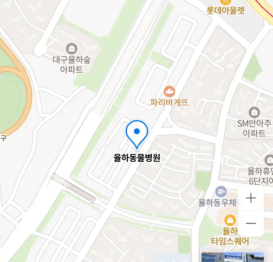 율하동물병원