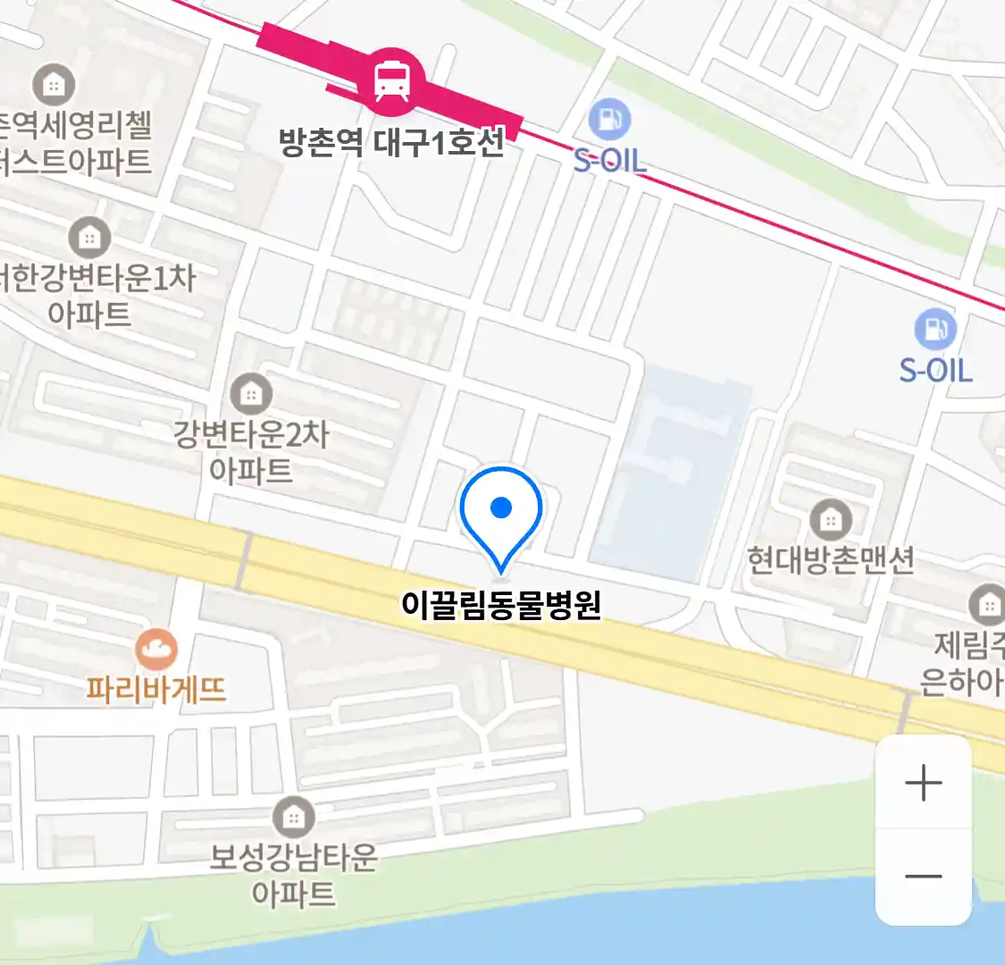 이끌림동물병원