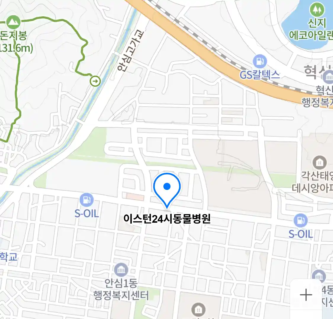 이스턴24시동물병원