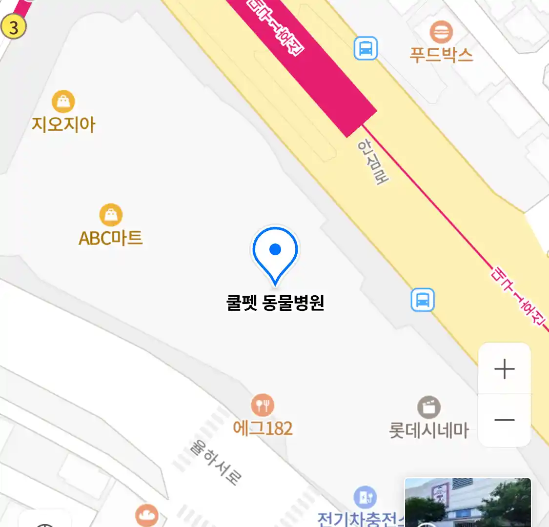 쿨펫 동물병원