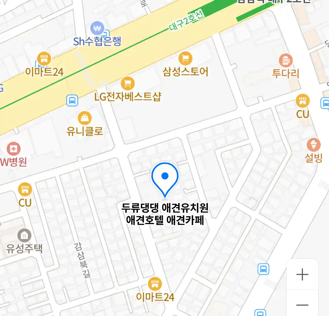두류댕댕 애견유치원 애견호텔 애견카페
