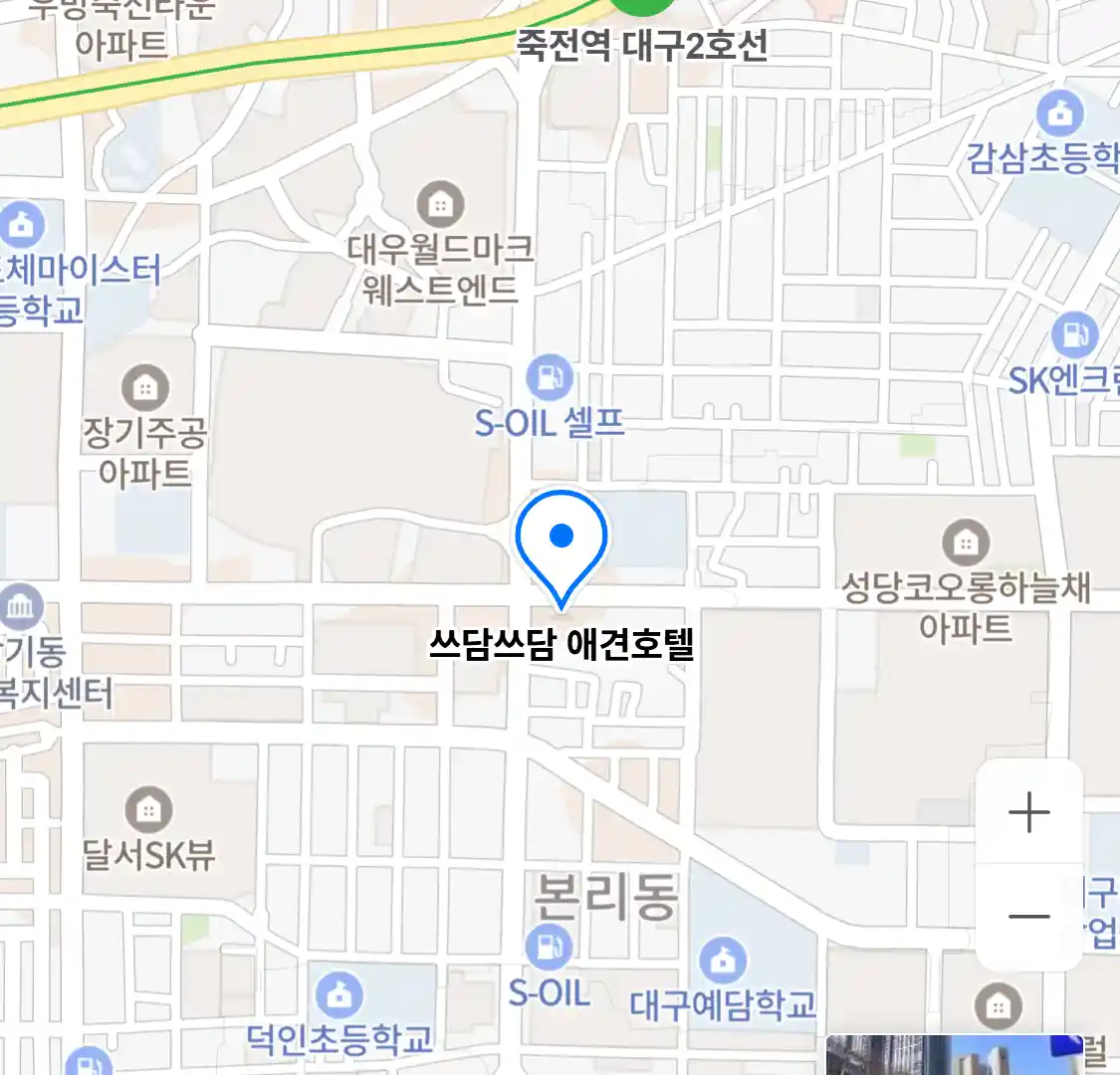 쓰담쓰담 애견호텔