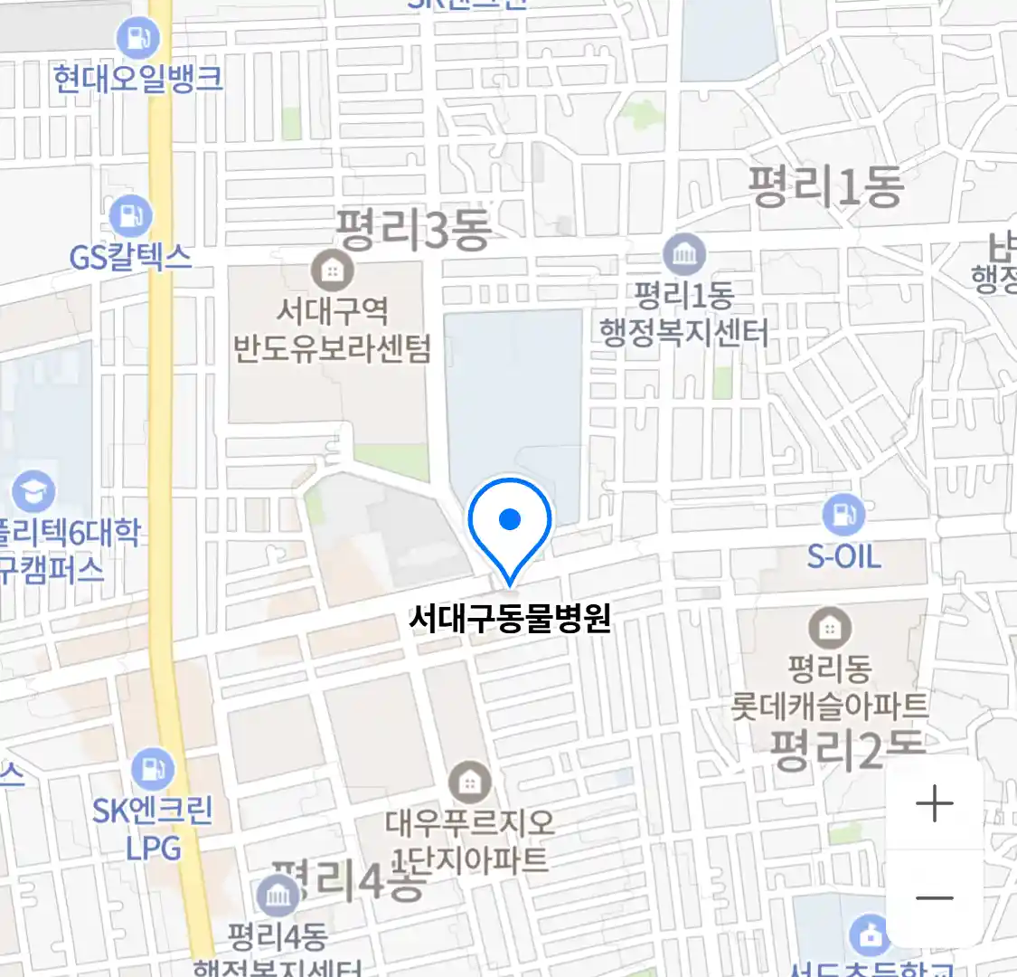 서대구동물병원