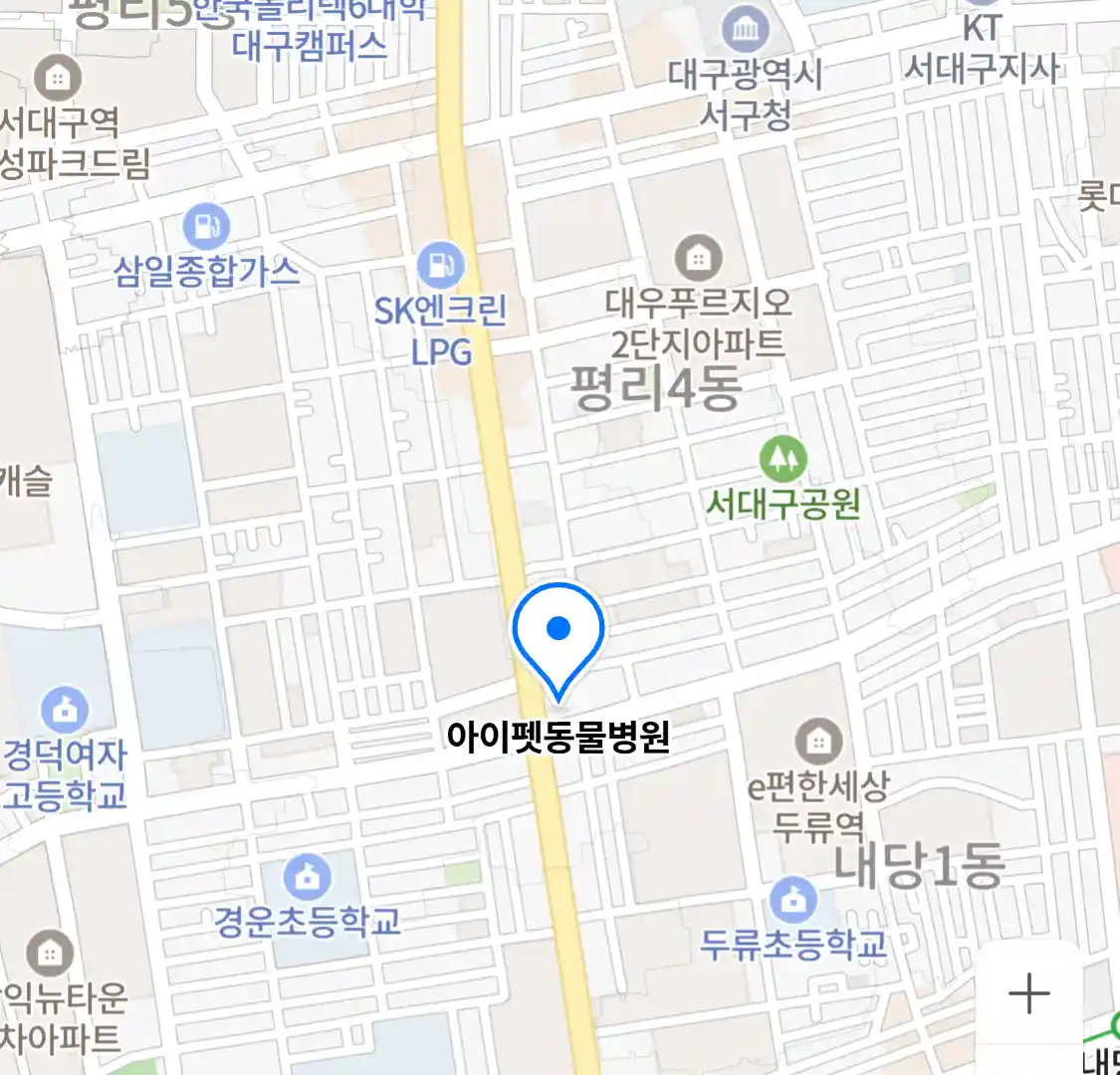 아이펫동물병원