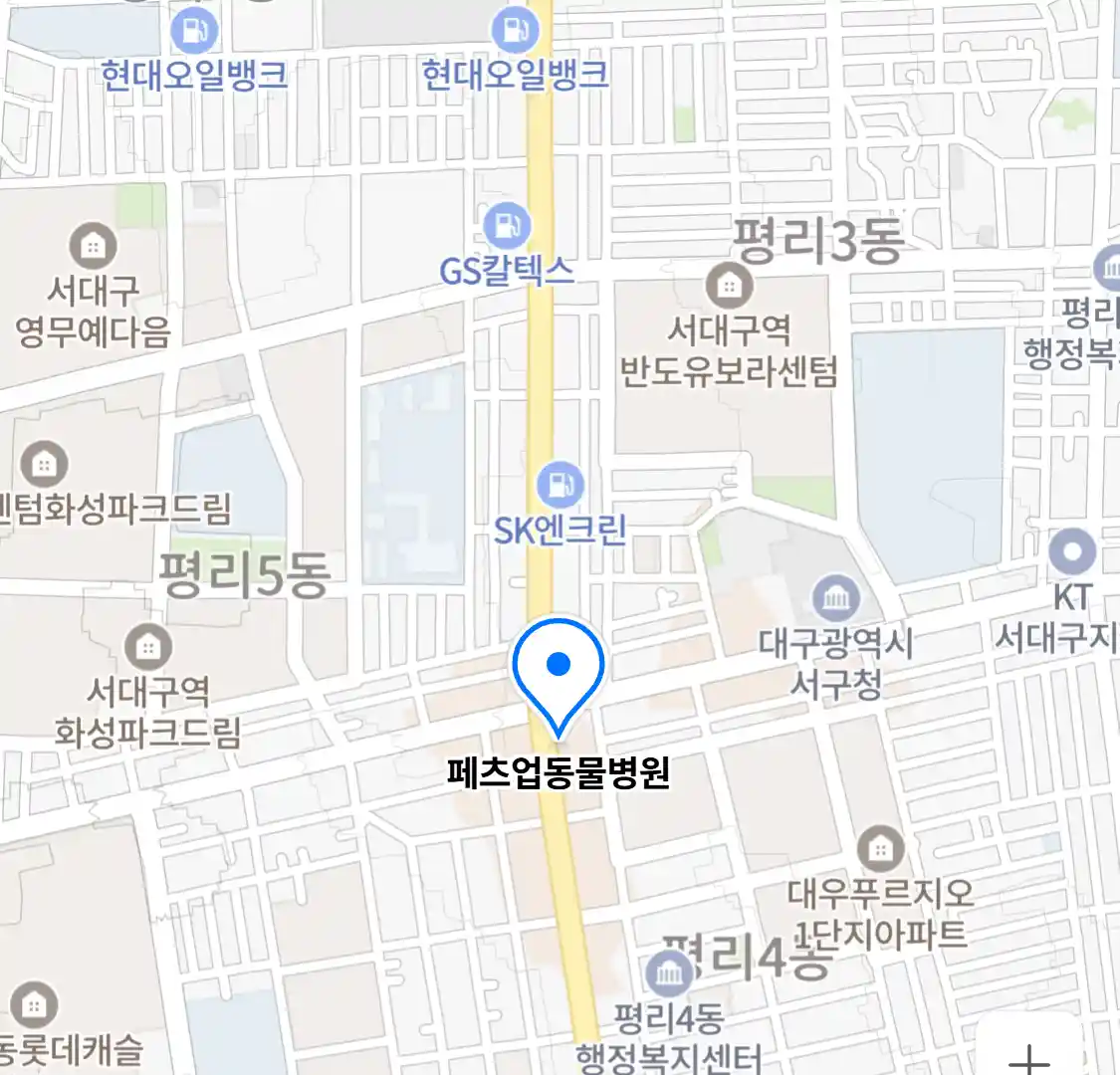 페츠업동물병원