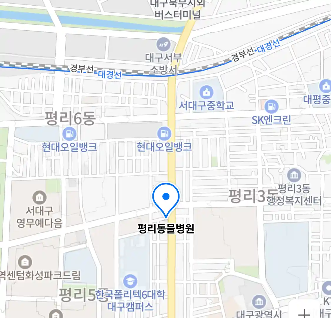 평리동물병원