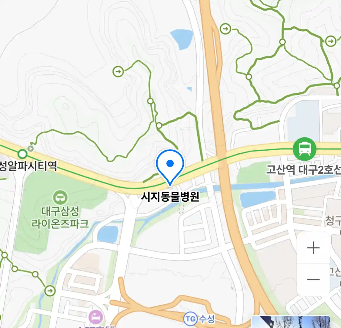 시지동물병원