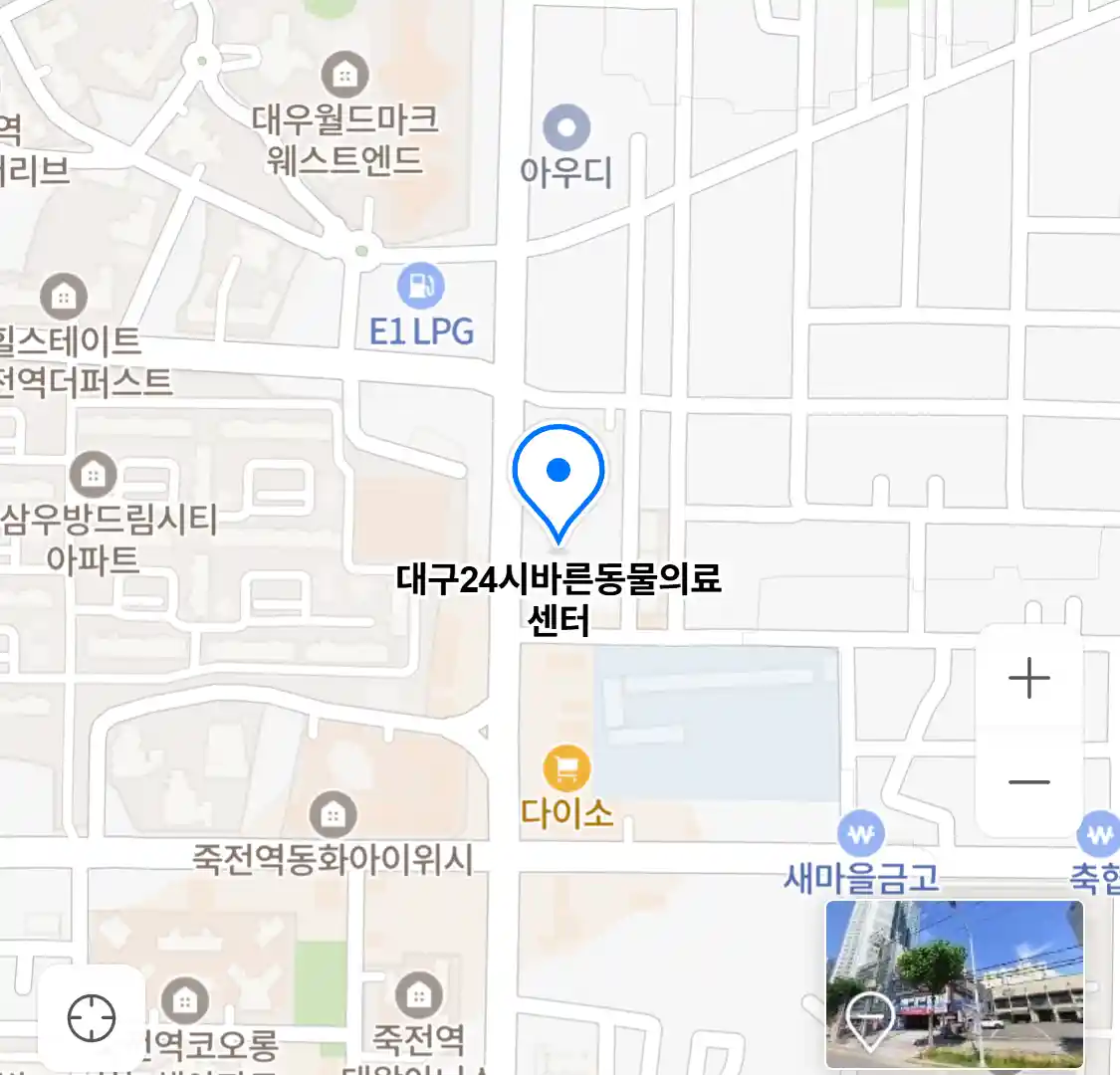 대구24시바른동물의료센터