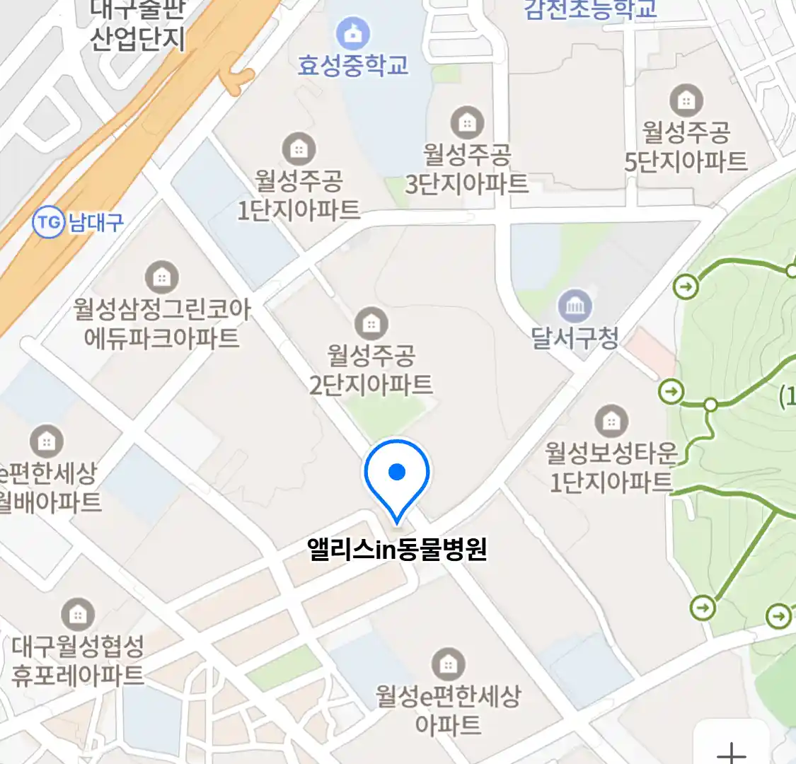 앨리스in동물병원