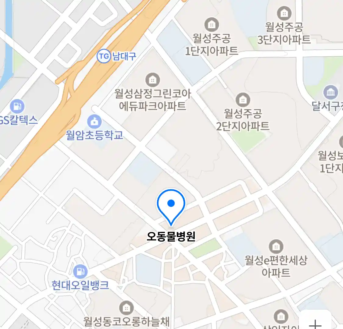 오동물병원