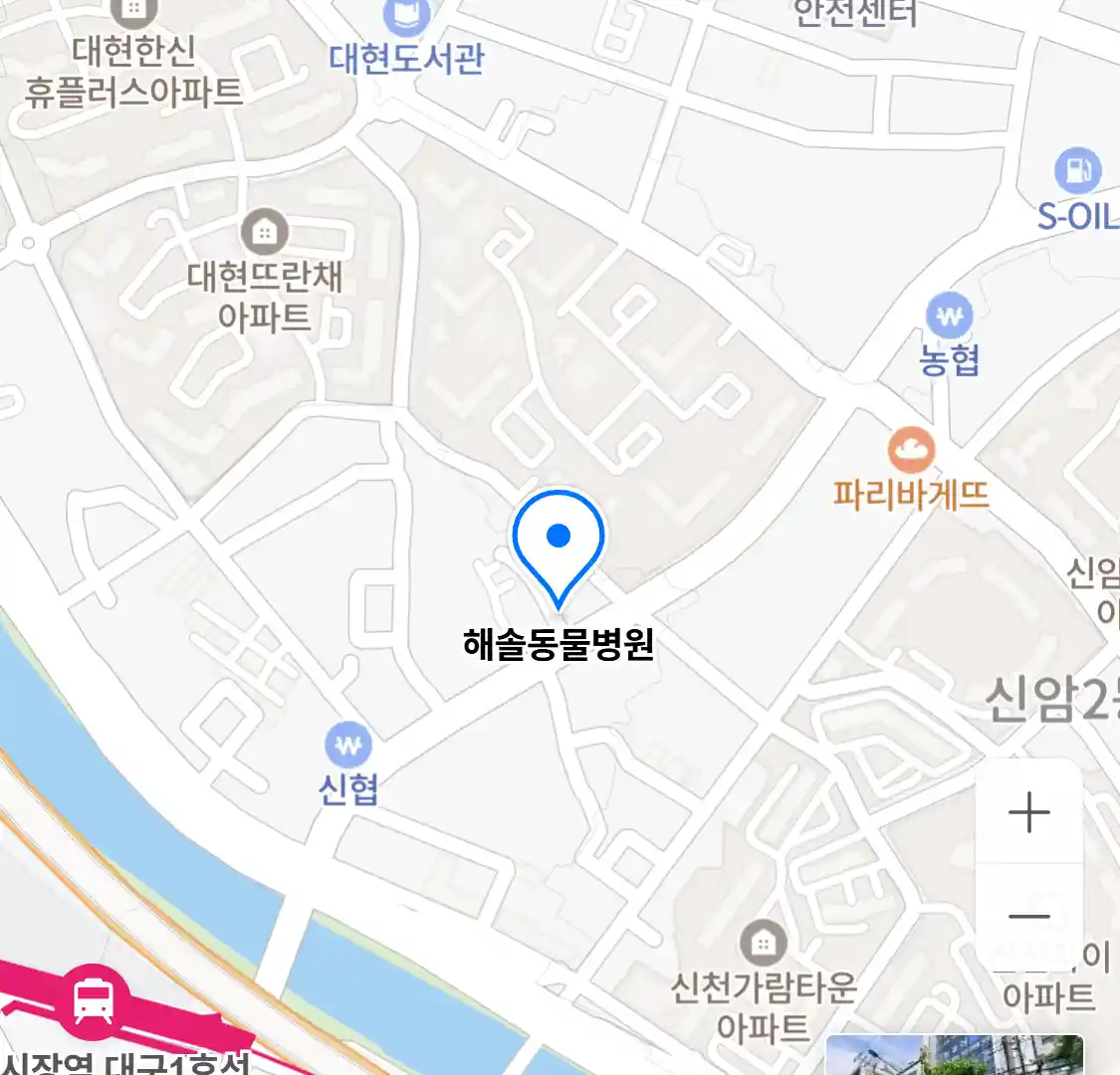 해솔동물병원