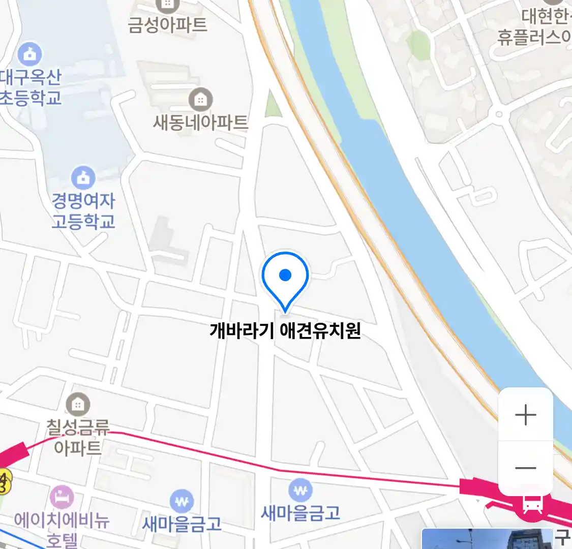 개바라기 애견유치원