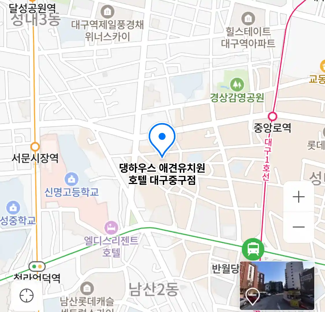 댕하우스 애견유치원 호텔 대구중구점