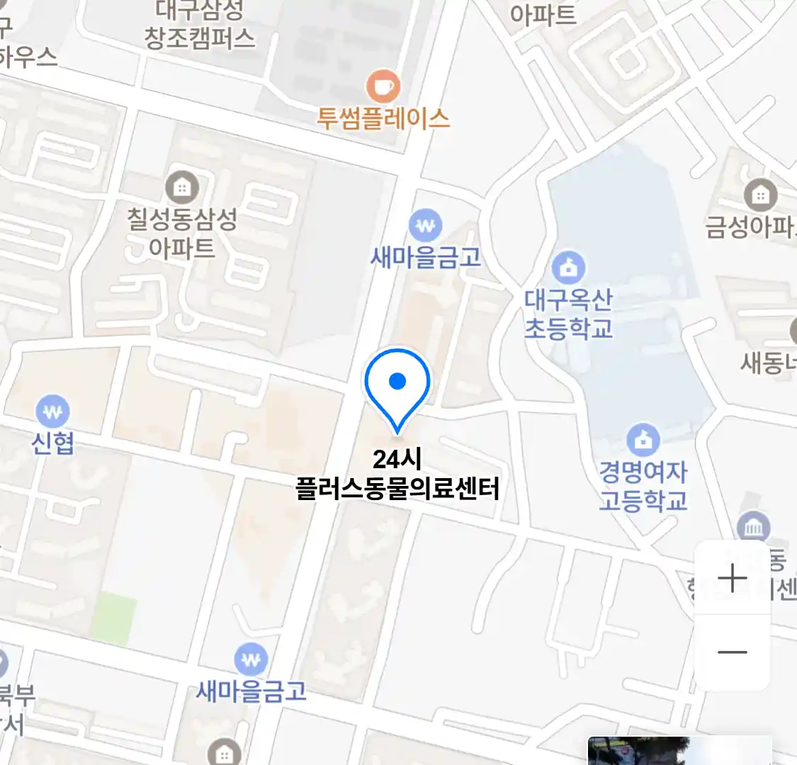 24시 플러스동물의료센터