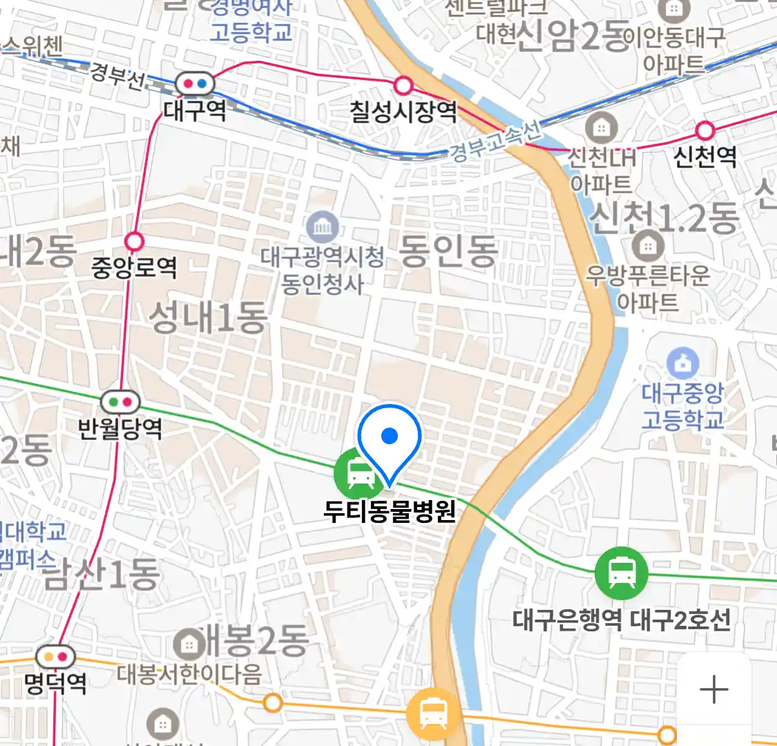 두티동물병원
