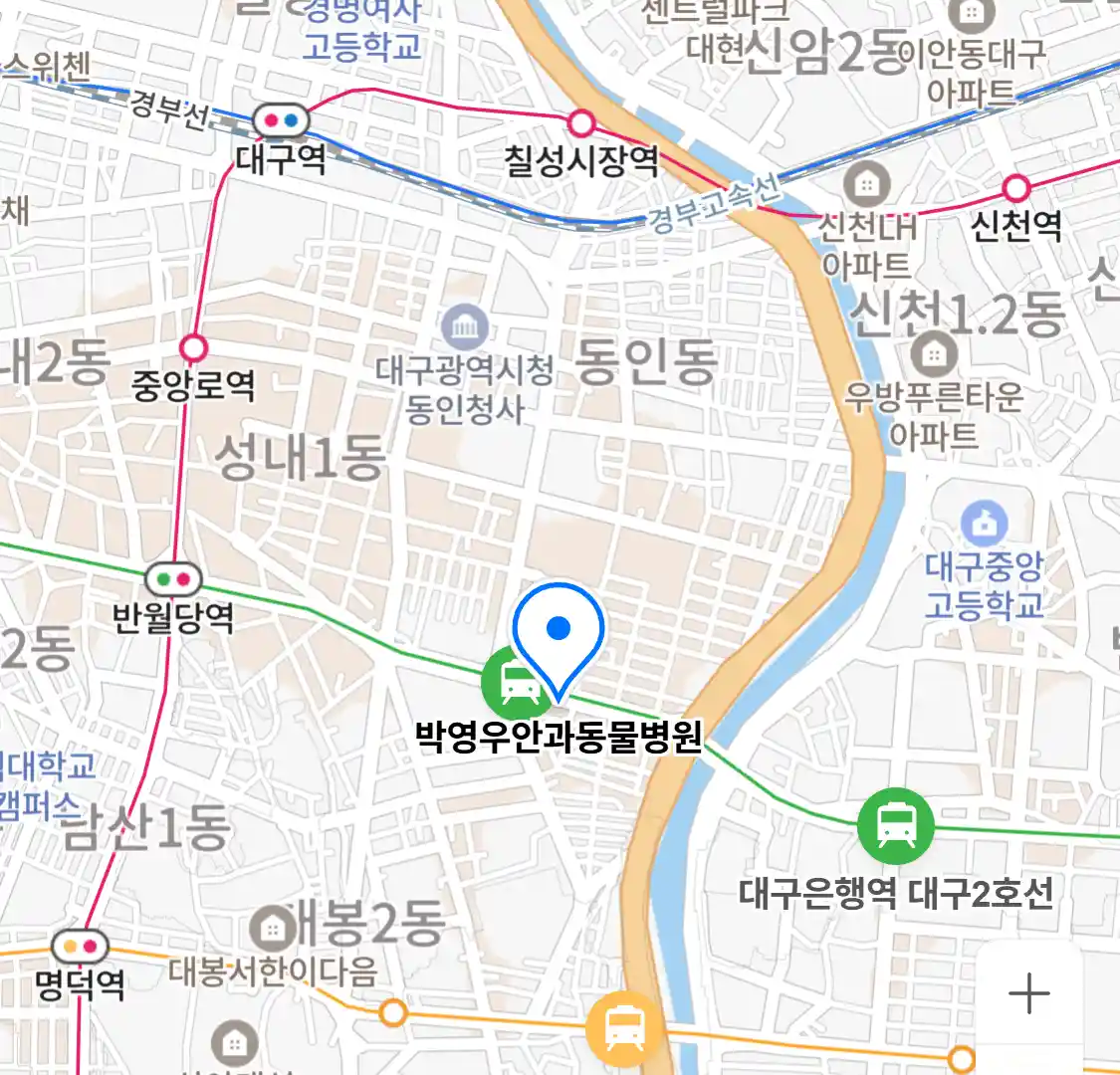 박영우안과동물병원