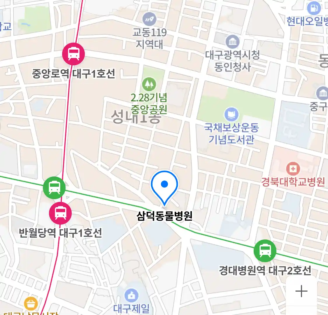 삼덕동물병원