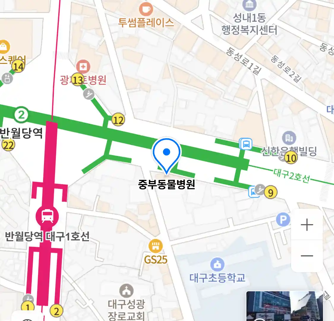 중부동물병원