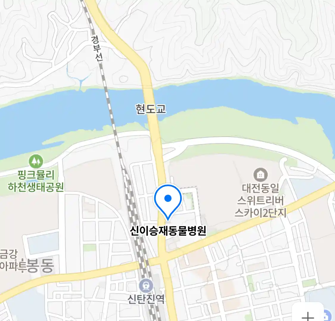 신이승재동물병원