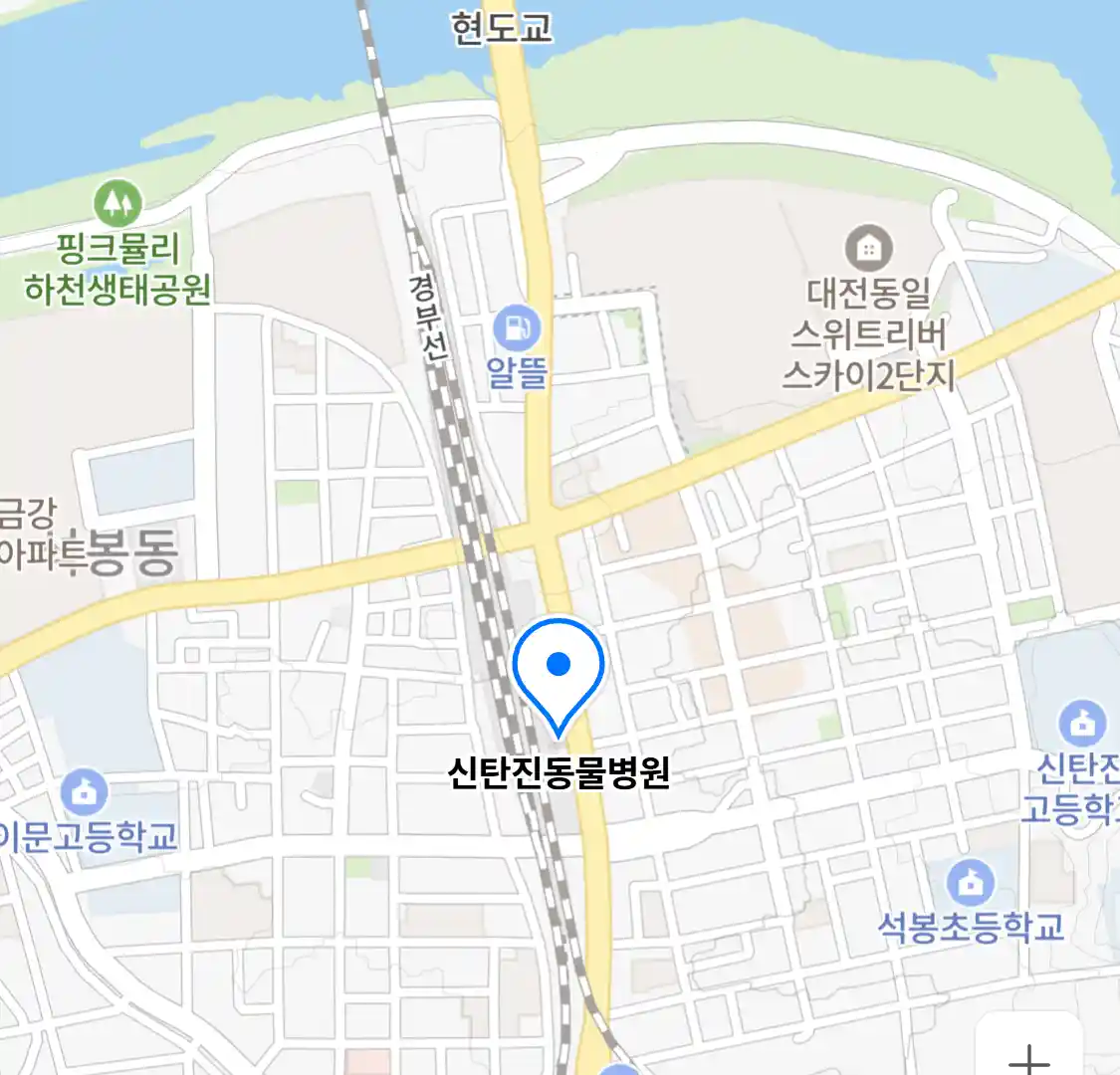 신탄진동물병원