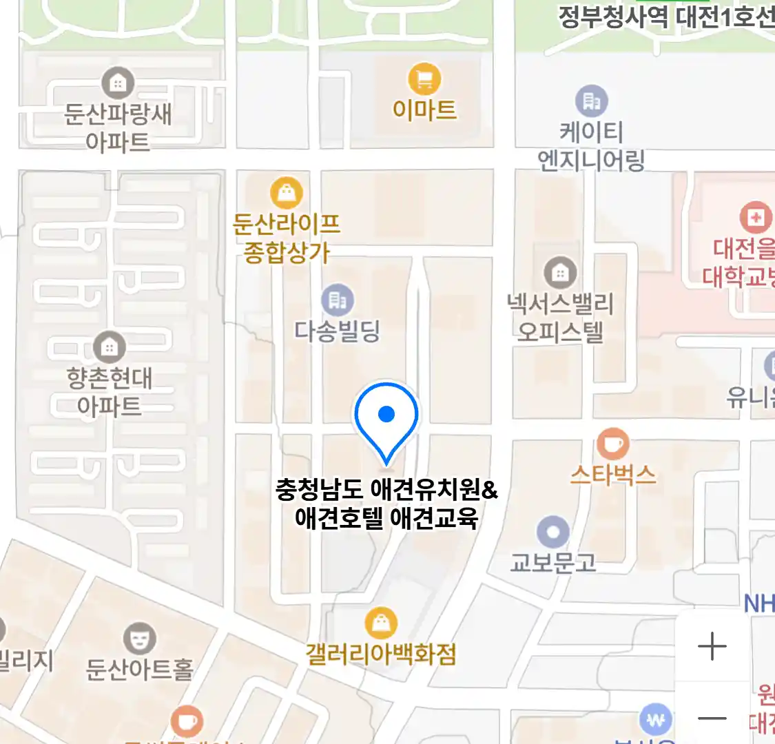 충청남도 애견유치원&애견호텔 애견교육