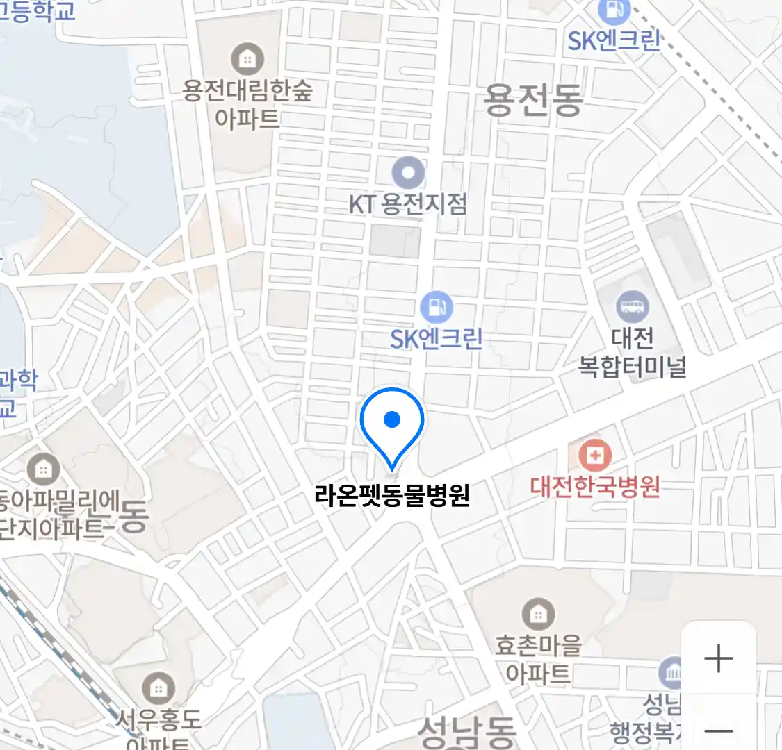 라온펫동물병원
