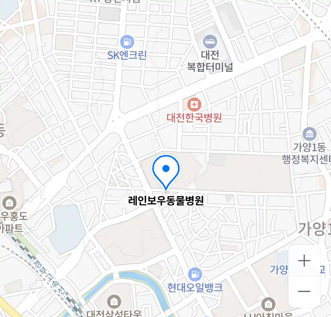 레인보우동물병원