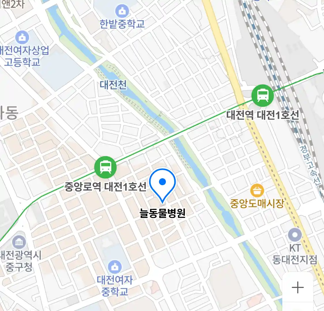 늘동물병원