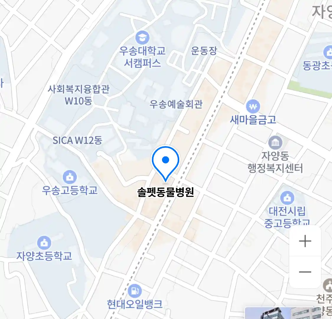 솔펫동물병원