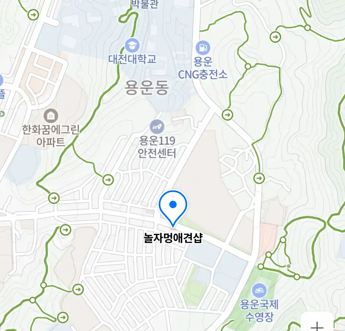 놀자멍애견샵