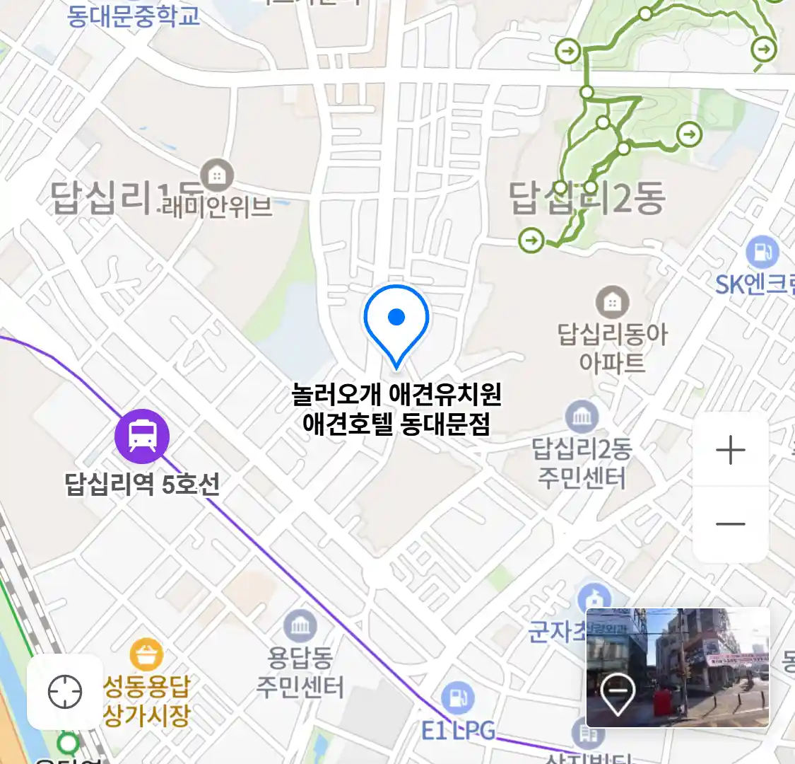 놀러오개 애견유치원 애견호텔 동대문점