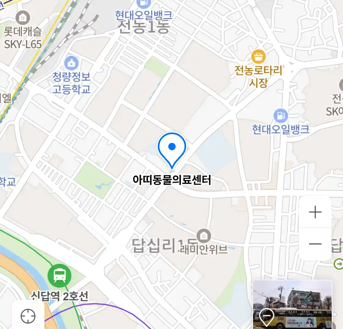 아띠동물의료센터