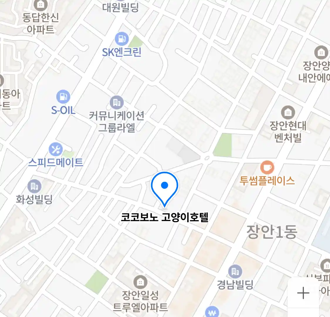 코코보노 고양이호텔