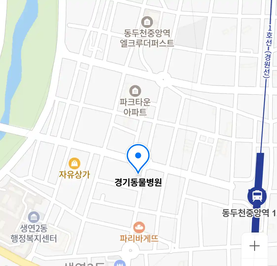 경기동물병원