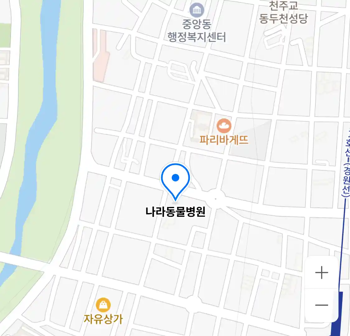 나라동물병원