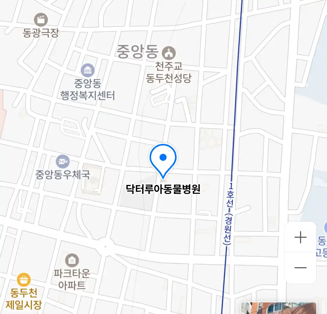 닥터루아동물병원