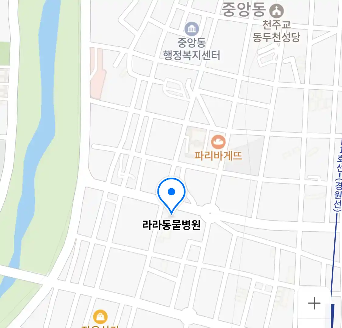 라라동물병원