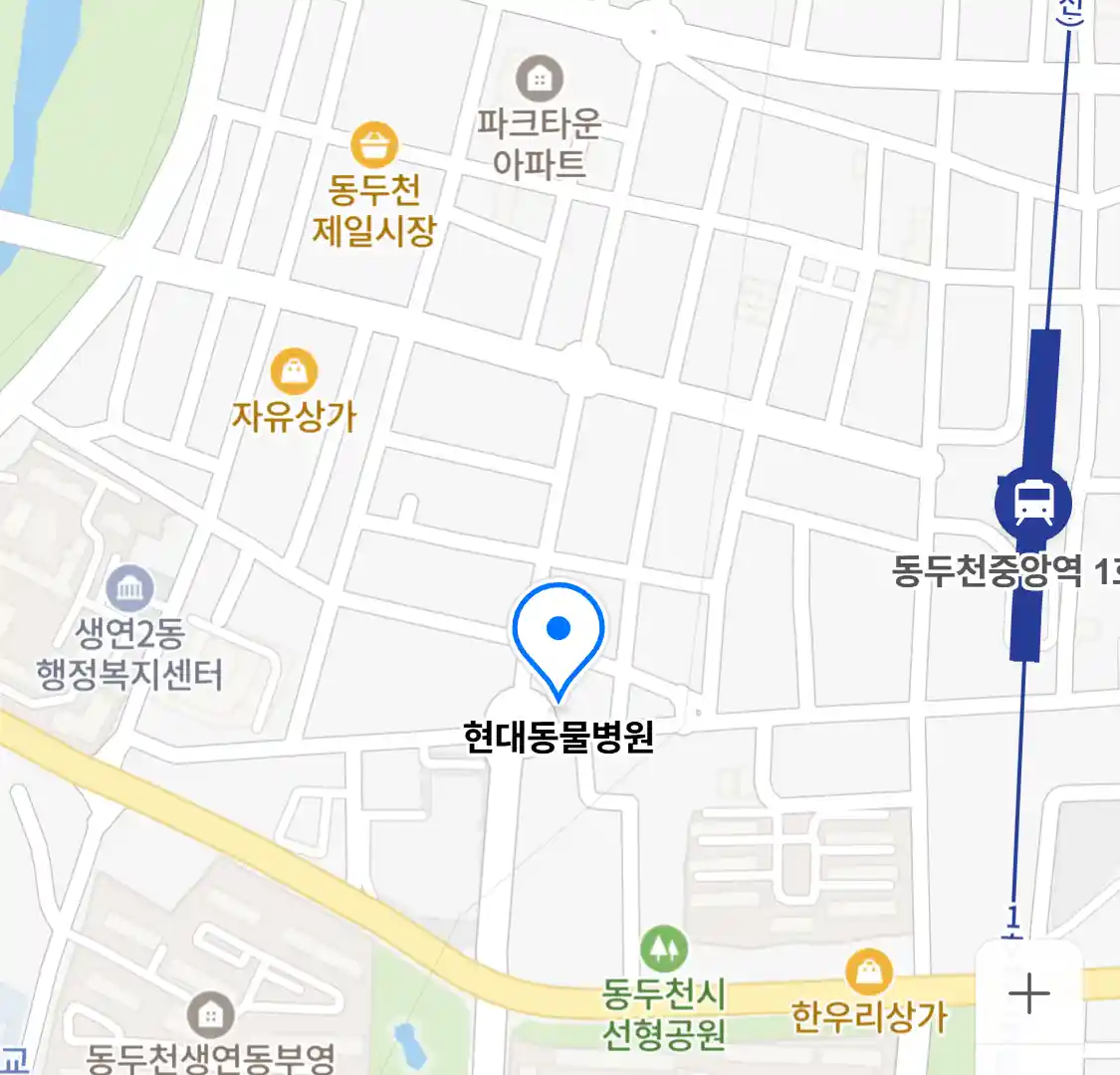 현대동물병원