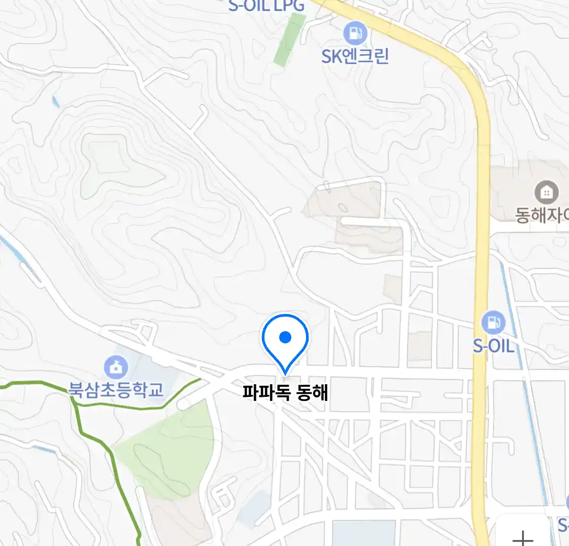 파파독 동해