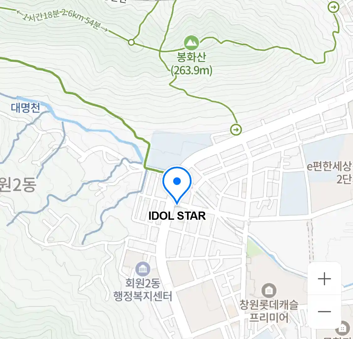 IDOL STAR