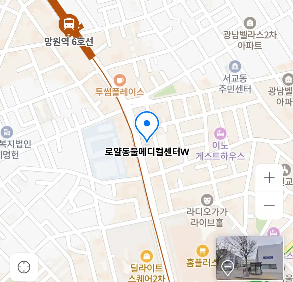 로얄동물메디컬센터W