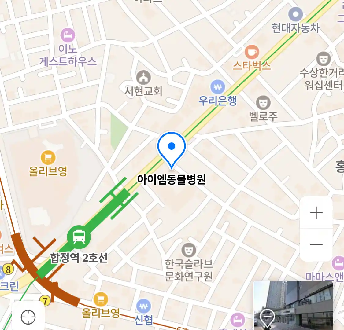 아이엠동물병원