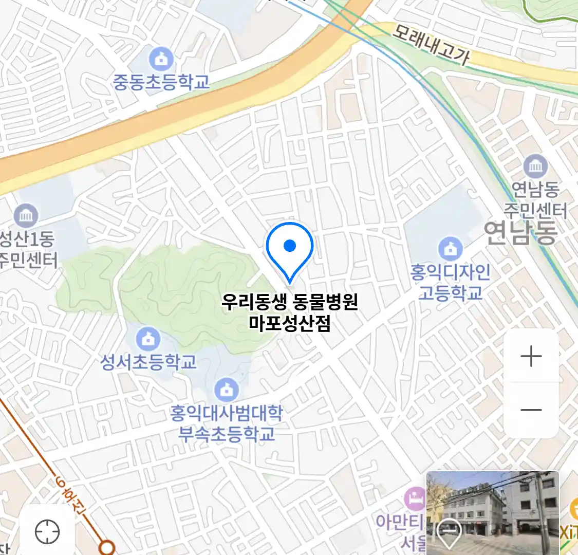 우리동생 동물병원 마포성산점