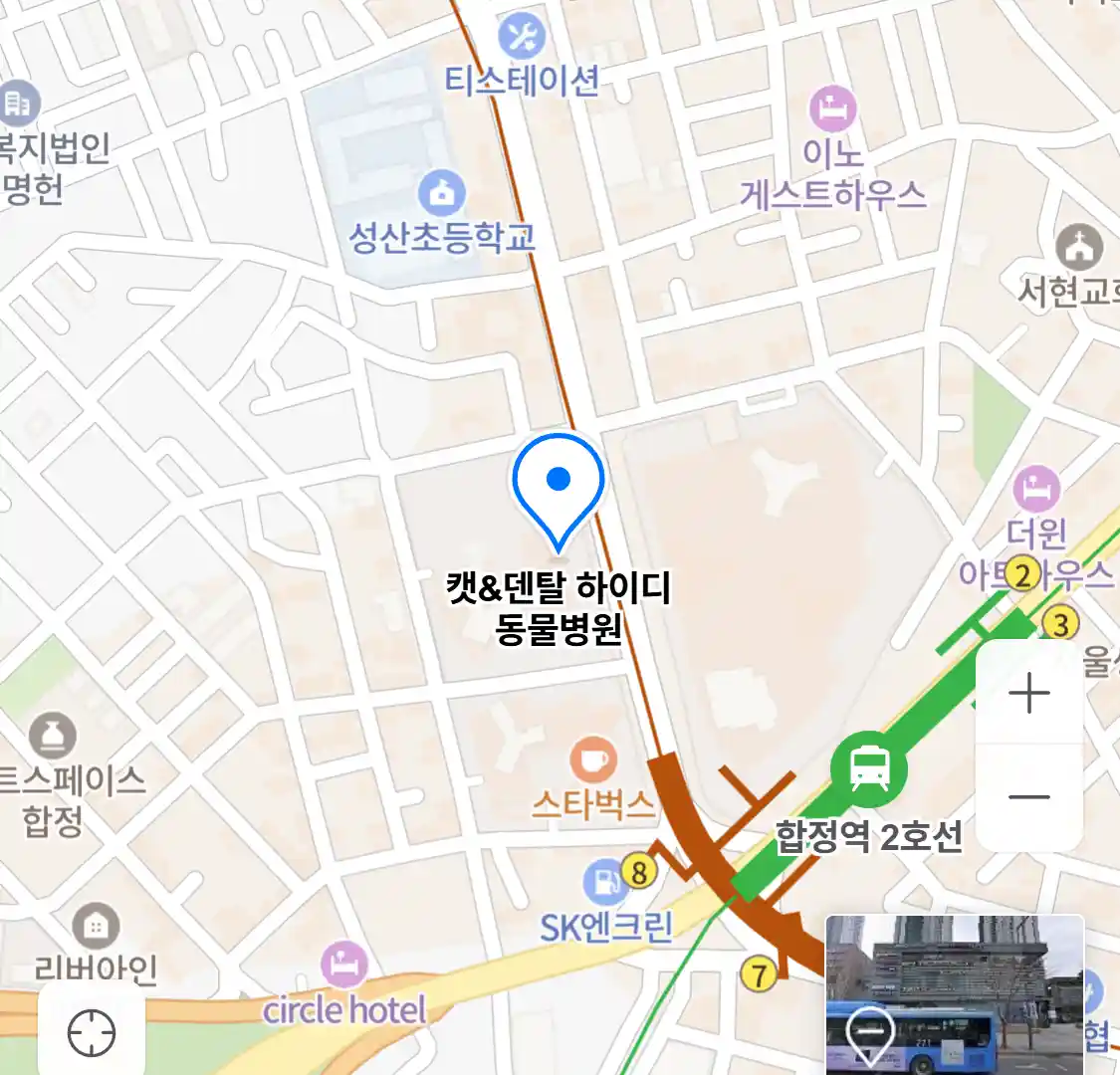 캣&덴탈 하이디 동물병원